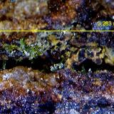 Piromorfita.<br />Minas Can Magre, Vidreres, Comarca La Selva, Gerona / Girona, Cataluña / Catalunya, España<br />3´283 x 0´93 mm.<br /> (Autor: Jesus Franquesa Baucells)
