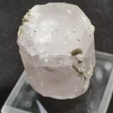 Beryl (variety morganite)<br />Elizabeth R. Mine, Chief Mountain, Pala, Pala District, San Diego County, California, USA<br />2,7 x 2 cm<br /> (Author: Volkmar Stingl)