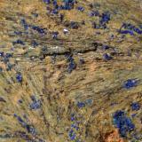 Azurite, Hedenbergite<br />Campiglia Marittima, Campigliese, Livorno Province, Toscana, Italy<br />95 x 75 mm<br /> (Author: Sante Celiberti)