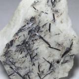 RutiloCantera Crestola Bassa, Cuenca de la zona de canteras Torano, Carrara, Alpes Apuanos, Provincia Massa-Carrara, Toscana, Italia36 x 32 mm (Autor: Sante Celiberti)