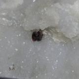 WurtzitaCantera Calagio, Colonnata, Carrara, Alpes Apuanos, Provincia Massa-Carrara, Toscana, Italia31 x 21 mm (Autor: Sante Celiberti)