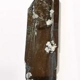 Hematite<br />Nador, Nador Province, Oriental Region, Morocco<br />2 cm x 8 cm<br /> (Author: Enrique Llorens)