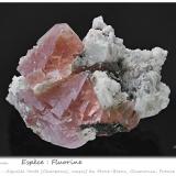 FluoriteAiguille Verte (lado La Charpoua), Mont Blanc, Chamonix, Haute-Savoie, Auvergne-Rhône-Alpes, Franciafov 60 mm (Author: ploum)