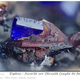 Azurite on Cerusite<br />Mas Dieu, Mercoirol, Alès, Gard, Occitanie, France<br />fov 4.6 mm<br /> (Author: ploum)
