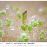 Olivenite and AgarditeClara Mine, Rankach Valley, Oberwolfach, Wolfach, Black Forest, Baden-Württemberg, Germanyfov 1.1 mm (Author: ploum)