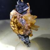 Sphalerite, QuartzIsla del Giglio, Provincia Grosseto, Toscana, Italia37 x 20 mm (Author: Sante Celiberti)