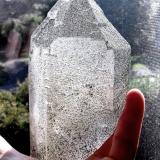 Quartz, Chlorite<br />Schlaten Glacier, Gschlöss Valley, Tauern Valley, East Tyrol, Tyrol/Tirol, Austria<br />Specimen height 13,5 cm<br /> (Author: Tobi)