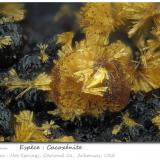 Cacoxenite<br />Hot Springs, Garland County, Arkansas, USA<br />fov 1.7 mm<br /> (Author: ploum)