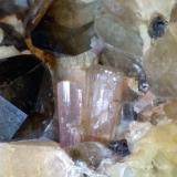 Elbaite, Quartz (variety smoky), OrthoclaseFonte del Prete, San Piero in Campo, Campo nell'Elba, Isla de Elba, Provincia Livorno, Toscana, Italia79 x 57 mm (Author: Sante Celiberti)