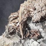 SilverP&#345;íbram, Región Bohemia Central, Bohemia, República Checa7 x 5 cm (Author: Volkmar Stingl)