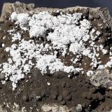 Ferrierite-Mg<br />Wildon (former Weitendorf), Leibnitz District, Styria/Steiermark, Austria<br />5 x 3,5 cm<br /> (Author: Volkmar Stingl)