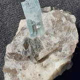 Beryl (variety aquamarine)<br />Albigna Valley, Vicosprano, Bergell Valley (Val Bregaglia; Val Bargaja), Grischun (Grisons; Graubünden), Switzerland<br />2,5 x 2 cm<br /> (Author: Volkmar Stingl)