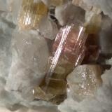 Elbaite, Quartz, OrthoclaseFonte del Prete, San Piero in Campo, Campo nell'Elba, Isla de Elba, Provincia Livorno, Toscana, Italia68 x 40 mm (Author: Sante Celiberti)