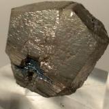 Pyrite, Hematite<br />Rio Marina, Elba Island, Livorno Province, Tuscany, Italy<br />28 x 26 mm<br /> (Author: Sante Celiberti)