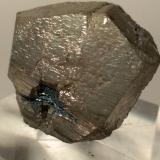 Pyrite, HematiteRio Marina, Isla de Elba, Provincia Livorno, Toscana, Italia28 x 26 mm (Author: Sante Celiberti)