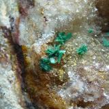 Malaquita, CuarzoLas Niñas Mine, Rodalquilar, Níjar, Comarca Metropolitana de Almería, Almería, Andalusia, Spain5 x 3 cm. la pieza (Autor: javier ruiz martin)