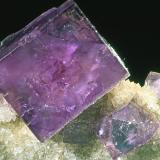 Fluorite. QuartzBerbes mining area, Berbes, Ribadesella, Comarca Oriente, Principality of Asturias (Asturias), Spain6 cm x 5 cm x 3 cm (Author: James Catmur)