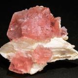 Fluorite on Albite<br />Aiguille Verte, Mont Blanc Massif, Chamonix, Haute-Savoie, Auvergne-Rhône-Alpes, France<br />Specimen size: 5.3 × 4.6 × 2.6 cm / main crystal size: 2 × 1.8 cm<br /> (Author: Jordi Fabre)