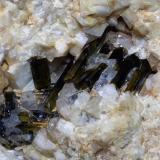 Elbaite, Quartz, OrthoclaseSan Piero in Campo, Campo nell'Elba, Isla de Elba, Provincia Livorno, Toscana, Italia80 x 74 mm (Author: Sante Celiberti)