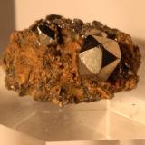 Pyrite<br />Rio Mine (Rio Marina Mine), Valle Giove stope, Rio Marina, Elba Island, Livorno Province, Tuscany, Italy<br />24 x 15 mm<br /> (Author: Sante Celiberti)