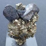 Galena, Pirita<br />Mina Krushev dol, Zona minera Madan, Montes Rhodope, Smolyan Oblast, Bulgaria<br />5 x 4 cm.<br /> (Autor: javier ruiz martin)