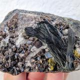 Ferro-pargasita, Andradita (Grupo Granate)<br />Corta Mercedes, Minas de Cala, Cala, Comarca Sierra de Huelva, Huelva, Andalucía, España<br />9,3 x 5,5<br /> (Autor: Carles)