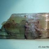 Espodumena (variedad hiddenita)<br />Provincia Kunar (Konar), Afganistán<br />90 x 35 mm<br /> (Autor: Joan Niella)