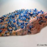 CalcantitaMina San Diego, Rodalquilar, Níjar, Comarca Metropolitana de Almería, Almería, Andalucía, España13 x 6 cm (Autor: Joan Niella)