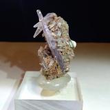 Cuarzo (variedad amatista)<br />Torre di Rio, área Santa Filomena, Rio Marina, Isla de Elba, Provincia Livorno, Toscana, Italia<br />39,5 x 24 mm<br /> (Autor: Sante Celiberti)