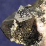 Alabandita, RodocrositaUchucchacua Mine, level 300, &#8595;895 m., Oyón Province, Lima Department, PeruDetalle de la pieza anterior. Cristal 0,9 x 0,5 cm (Autor: Frederic Varela)
