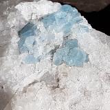 Beryl (variety aquamarine)<br />Woisgenscharte, Mallnitz, Spittal an der Drau, Hohe Tauern, Carinthia/Kärnten, Austria<br />Crystal size 6 mm<br /> (Author: Volkmar Stingl)