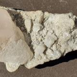Beryl (variety morganite)<br />Dara-i-Pech pegmatite, Chapa Dara District, Kunar Province (Konar), Afghanistan<br />7 x 3,5 cm<br /> (Author: Volkmar Stingl)