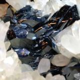 Hematites, Cuarzo<br />Rio Marina, Isla de Elba, Provincia Livorno, Toscana, Italia<br />76 x 76 mm<br /> (Autor: Sante Celiberti)