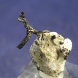 PlataMina Uchucchacua, Provincia Oyón, Departamento Lima, Perú2 x 1,5 x 1 cm (Autor: Frederic Varela)