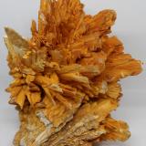 Yeso (variedad selenita)<br />Mina Naica, Naica, Municipio Saucillo, Chihuahua, México<br />10x6x5 cm<br /> (Autor: Luis Edmundo Sánchez Roja)