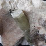 Beryl<br />Hayes Ledge Quarries, Noyes Mountain, Greenwood, Oxford County, Maine, USA<br />8 x 7 cm<br /> (Author: Volkmar Stingl)