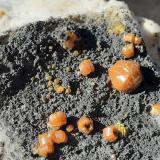 Mimetite<br />Dry Gill Mine, Caldbeck Fells, Allerdale, former Cumberland, Cumbria, England / United Kingdom<br />6 x 5 cm<br /> (Author: Volkmar Stingl)