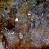 Fluorita.<br />Minas Can Magre, Vidreres, Comarca La Selva, Gerona / Girona, Cataluña / Catalunya, España<br />3´252 x 2´787 mm.<br /> (Autor: Jesus Franquesa Baucells)