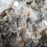 Beryl, Muscovite, Pyrite<br />White Mountains, Inyo County, California, USA<br />8,5 x 6,5 cm, FoV ca. 2 cm wide<br /> (Author: Volkmar Stingl)