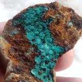 Pseudomalaquita<br />Minas de El Gallego, Alía, Comarca Las Villuercas, Cáceres, Extremadura, España<br />5 x 3  x 1.5 cm.<br /> (Autor: Pedro Apita)