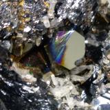 Hematite, QuartzMina Rio (Mina Rio Marina), realce Valle Giove, Rio Marina, Isla de Elba, Provincia Livorno, Toscana, Italia83 x 75 mm (Author: Sante Celiberti)