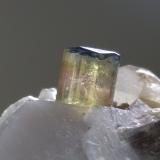 Elbaite, Quartz, OrthoclaseFonte del Prete, San Piero in Campo, Campo nell'Elba, Isla de Elba, Provincia Livorno, Toscana, Italia53,4 x 40,2 mm (Author: Sante Celiberti)