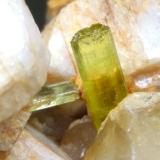 Elbaite, Orthoclase, QuartzFonte del Prete, San Piero in Campo, Campo nell'Elba, Isla de Elba, Provincia Livorno, Toscana, Italia82 x 45 mm (Author: Sante Celiberti)