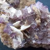 Fluorite, Baryte<br />Berbes mining area, Berbes, Ribadesella, Comarca Oriente, Principality of Asturias (Asturias), Spain<br />6 x 3 cm<br /> (Author: Volkmar Stingl)