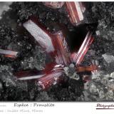 Proustite<br />Imiter District, Tinghir Province, Drâa-Tafilalet Region, Morocco<br />fov 3.2 mm<br /> (Author: ploum)