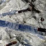Kyanite, Staurolite, Paragonite<br />Sponda Alp - Pizzo Forno, Chironico Valley, Leventina, Ticino (Tessin), Switzerland<br />23 x 15 cm<br /> (Author: Sante Celiberti)