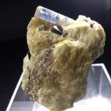 Kyanite, Staurolite<br />Sponda Alp - Pizzo Forno, Chironico Valley, Leventina, Ticino (Tessin), Switzerland<br />59 x 45 mm<br /> (Author: Sante Celiberti)