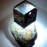 Granate (Grupo)<br />Valle Ötz, Tirol Norte, Tirol, Austria<br />50x40 mm.<br /> (Autor: Jesus Franquesa Baucells)