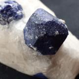 Lazurite on CalciteSar-e Sang, Valle Koksha, Distritos Khash & Kuran Wa Munjan, Provincia Badakhshan, Afganistán5,5 x 3,5 cm (Author: Volkmar Stingl)