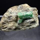 Beryl (variety emerald)<br />Habach Valley, Hohe Tauern, Salzburg, Austria<br />36,8 x 27,4 mm<br /> (Author: Sante Celiberti)
